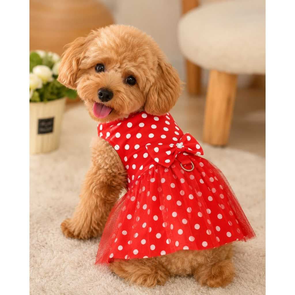 Roupinha Cachorro  Vestido Vermelho com Saia de Filó e Laço Estampa de Bolinhas Com Guia