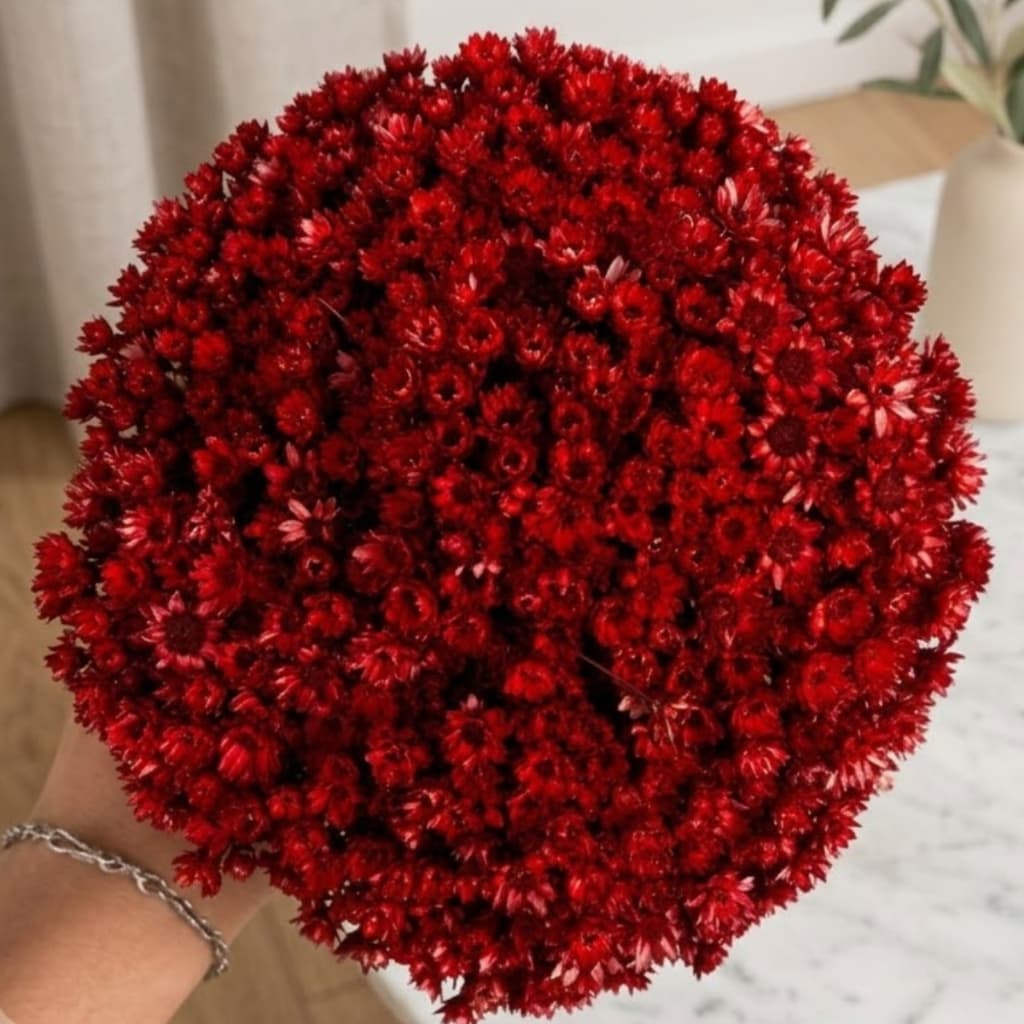 Flor Sempre Viva Vermelha Desidratada Buquê Aprox 200 Flores Decoração Casamento Arranjos Mesa Posta