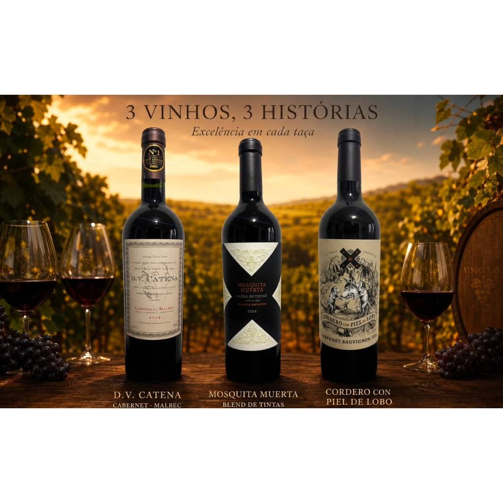 KIT VINHOS ARGENTINO ORIGINAIS