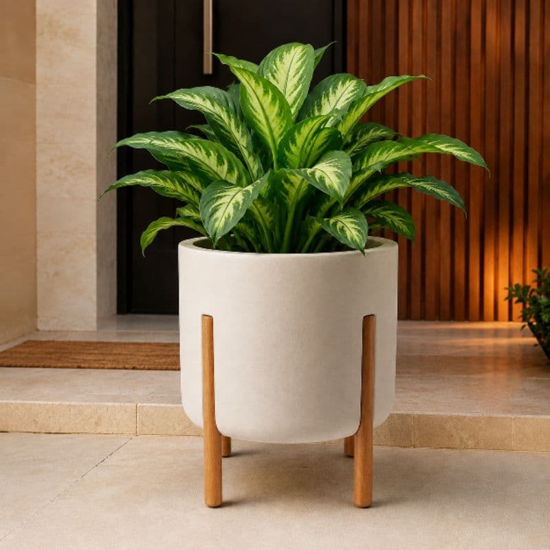 Vaso Nórdico P com Pés de Madeira Premium em Polietileno para Plantas Jardim Decoração