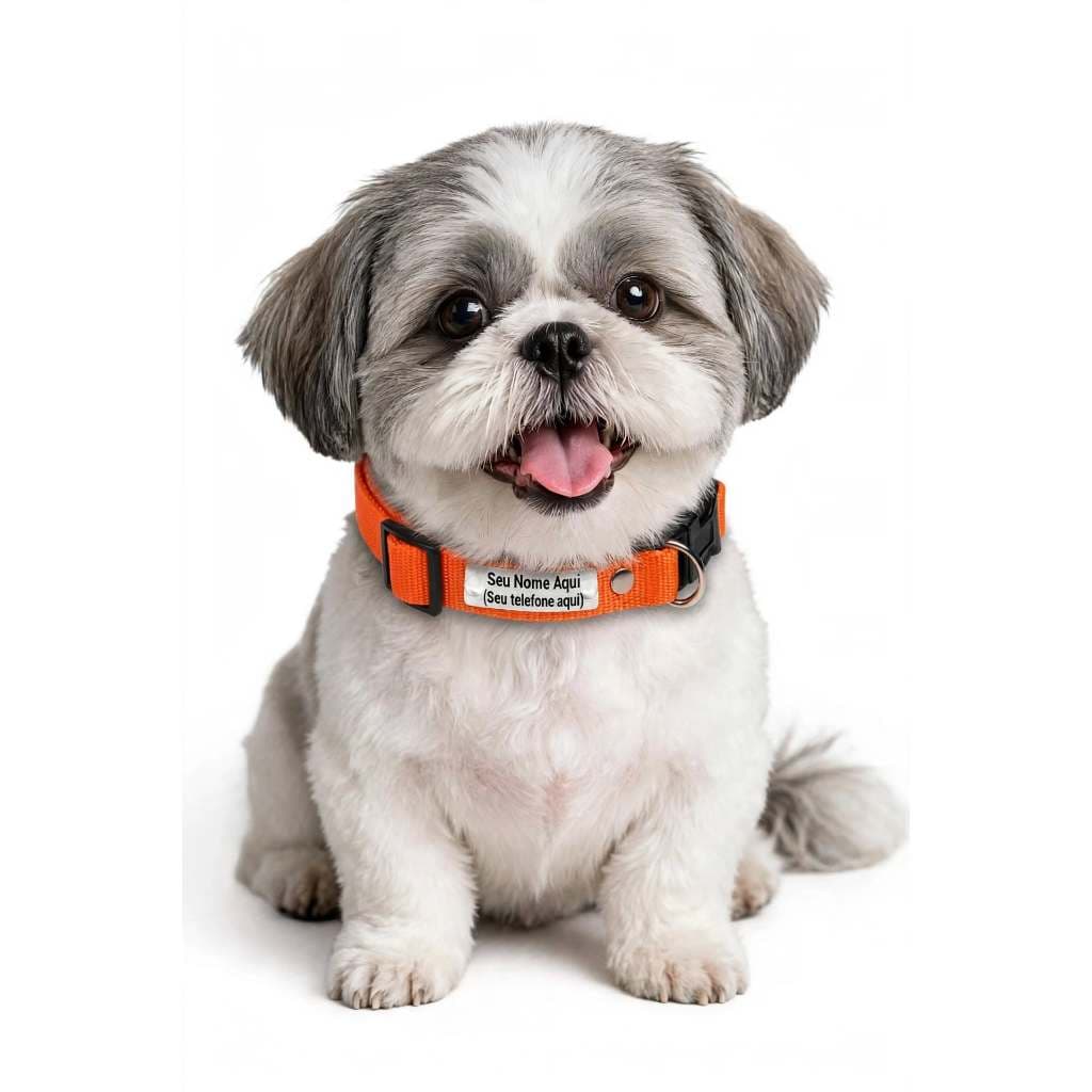 kit coleira para cachorro personalizada com nome e telefone