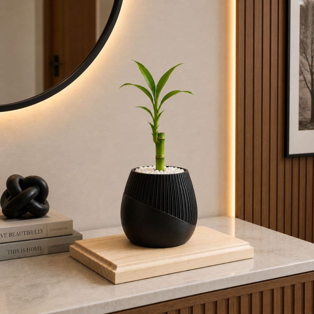 Vaso Decorativo Moderno para Bambu da Sorte Plantas Suculentas Decoração Sala Escritório e Hall - Altura 9cm (Sem bambu)