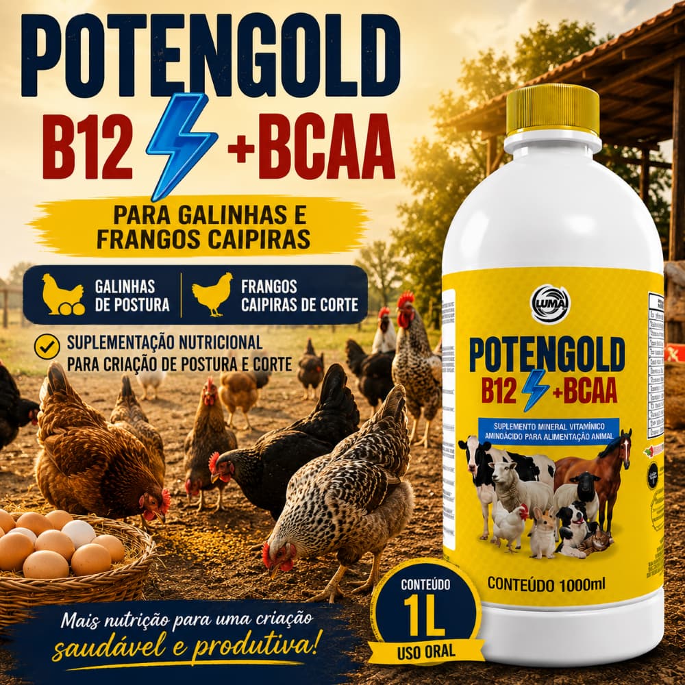Potengold B12 + BCAA Vitaminas Para Galinhas de Postura e Frangos Caipiras 1L