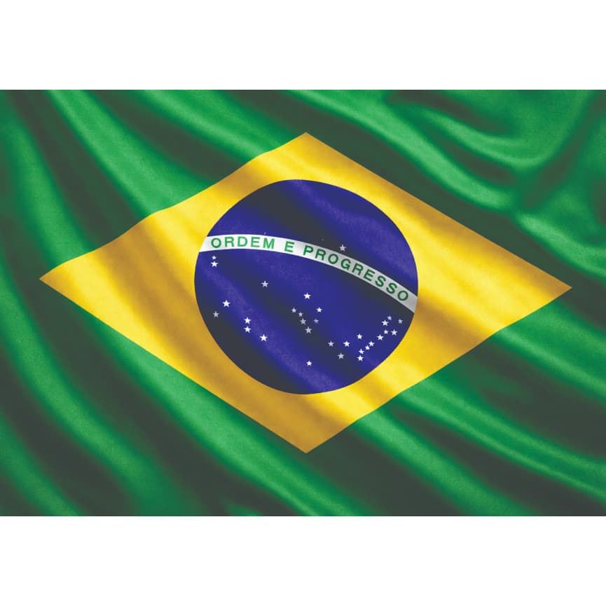 Bandeiras do Brasil /bandeiras Personalizadas | Times, Temas e Estilos Variados/Leia a descrição