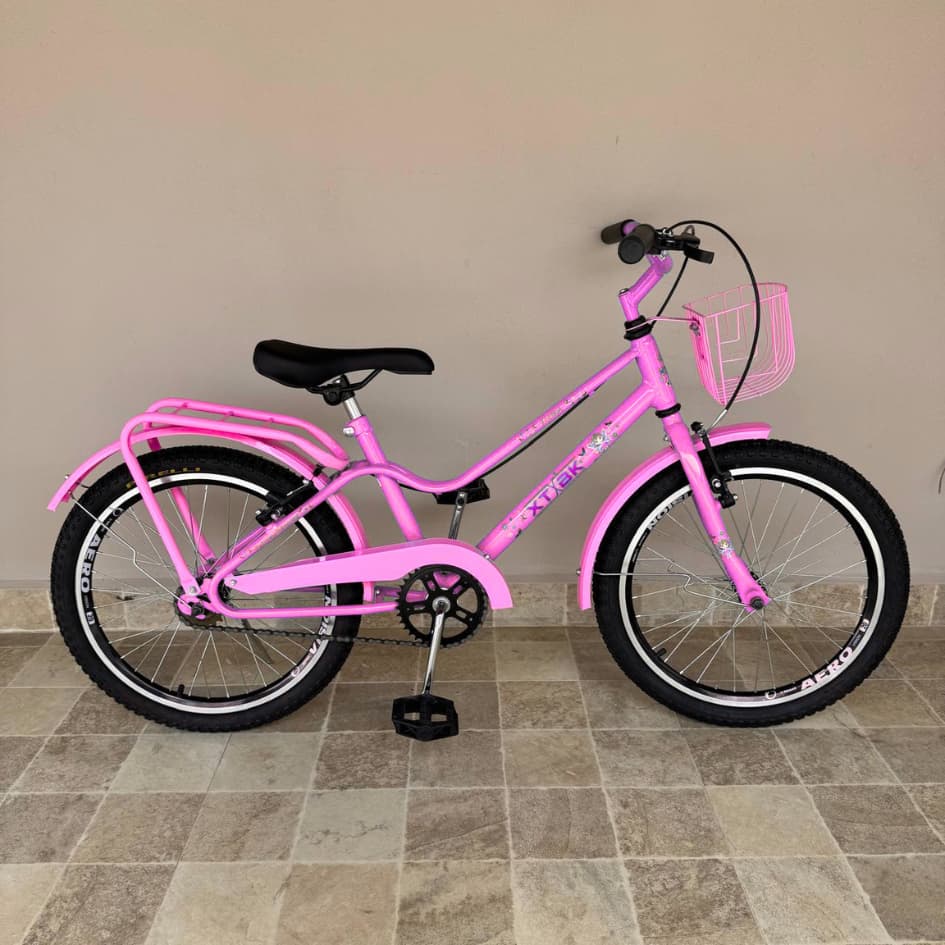 Bicicleta Infantil Aro 20 Feminina Flora XTBK com Cestinha e Bagageiro para Crianças de  6 a 10 anos Rosa