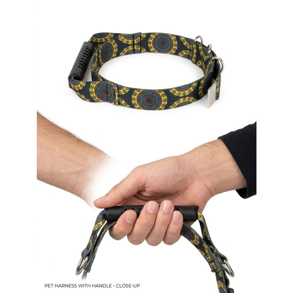 Coleira para cães de grande porte