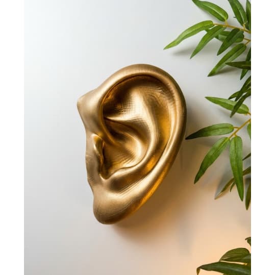 Orelha Decorativa de Parede para Clínicas, Otomodelações, Harmonização de Orelhas, Otorrinos e Fonos