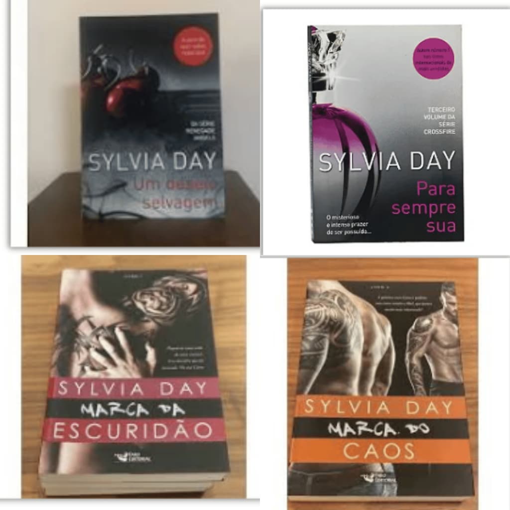 Livro de Romance Usado | Bem Conservado, Sem Manchas e em Ótimo Estado