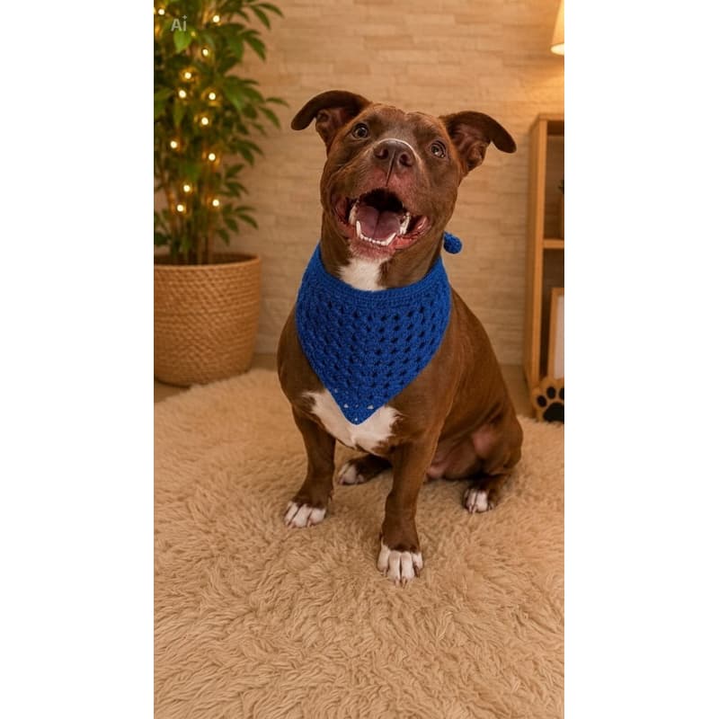 Bandana Pet para Cachorro e Gato em Crochê Artesanal |