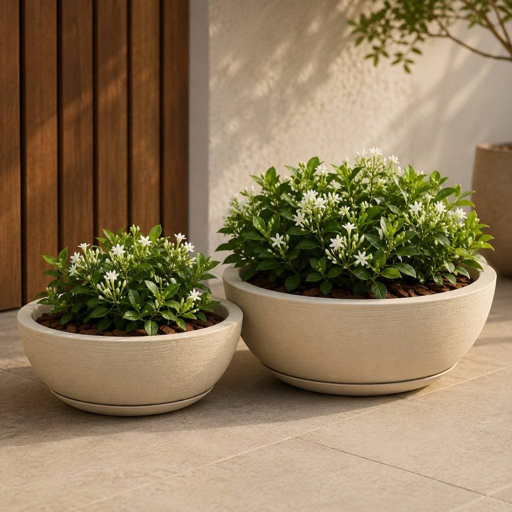 Kit 2 Vasos para Planta Polietileno Bacia Escovada com Prato Coletor Jardim Casa Decoração Varanda