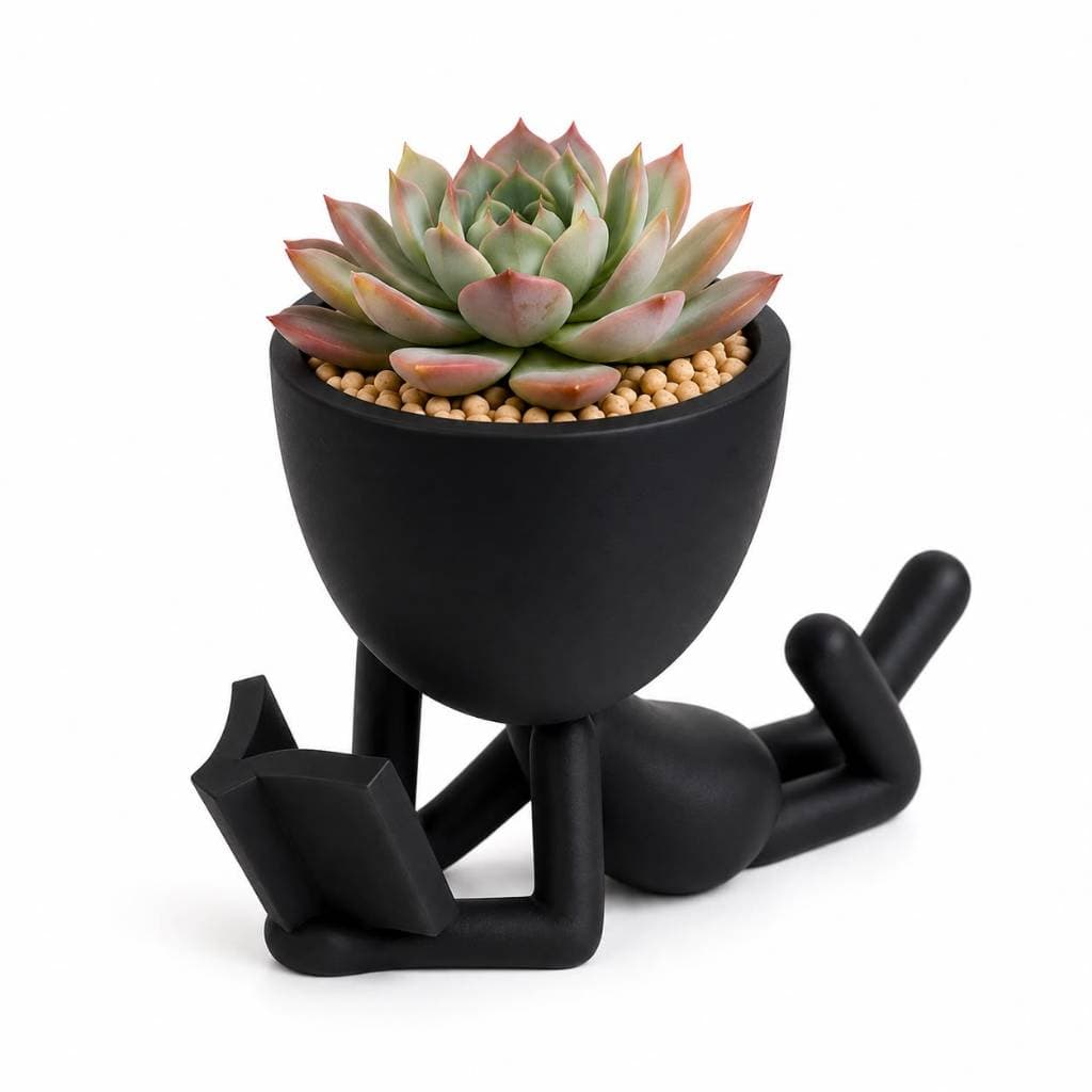 Vaso Decorativo Boneco Lendo Livro - Robert Plant Mini Vaso para Suculenta e Cacto -  Enfeite de Mesa Decoração Presente