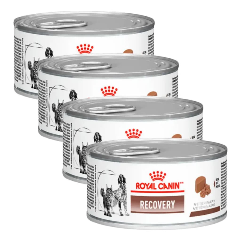 Kit 4 Ração Úmida Royal Canin Recovery Cães Gatos 195g