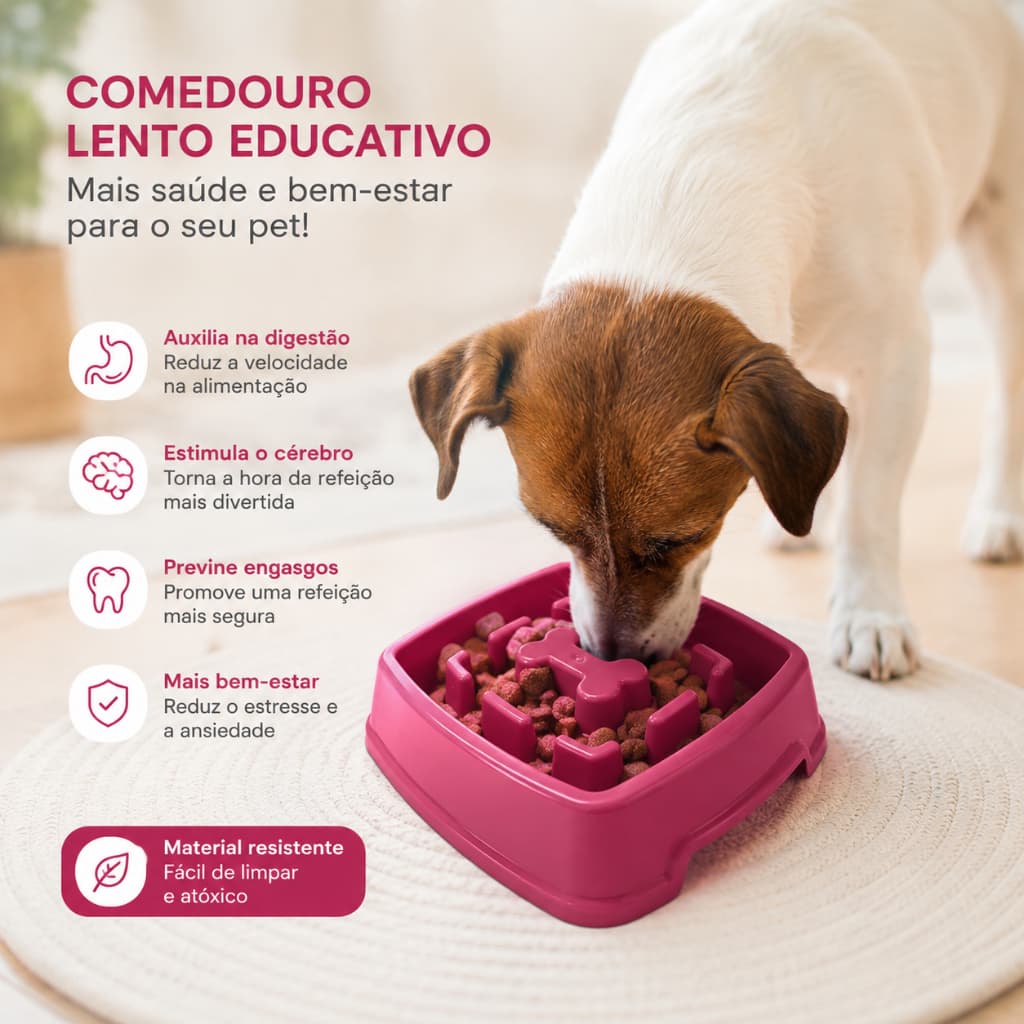 Comedouro Lento educativo 650ml Cachorro Gato Coelho Pet
