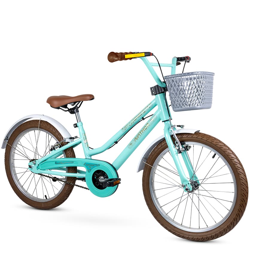 Bicicleta Infantil aro 20 C/ Cestinho e pezinho de descanso Antonella Rosa e Verde Nathor +7anos