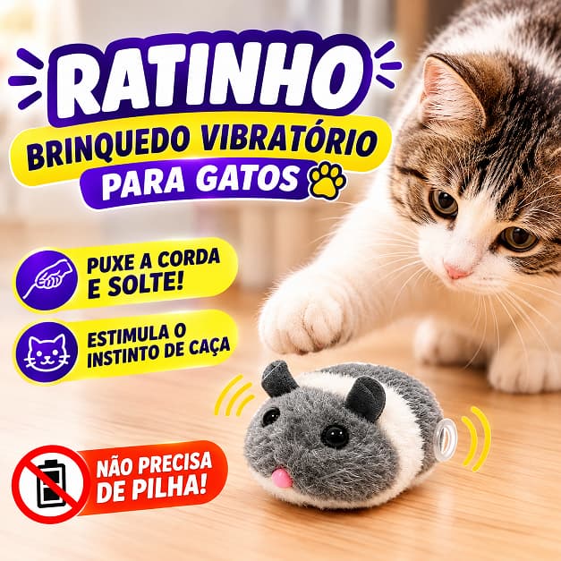Ratinho Movido a Corda Brinquedo Pet Gato Macio Sortido