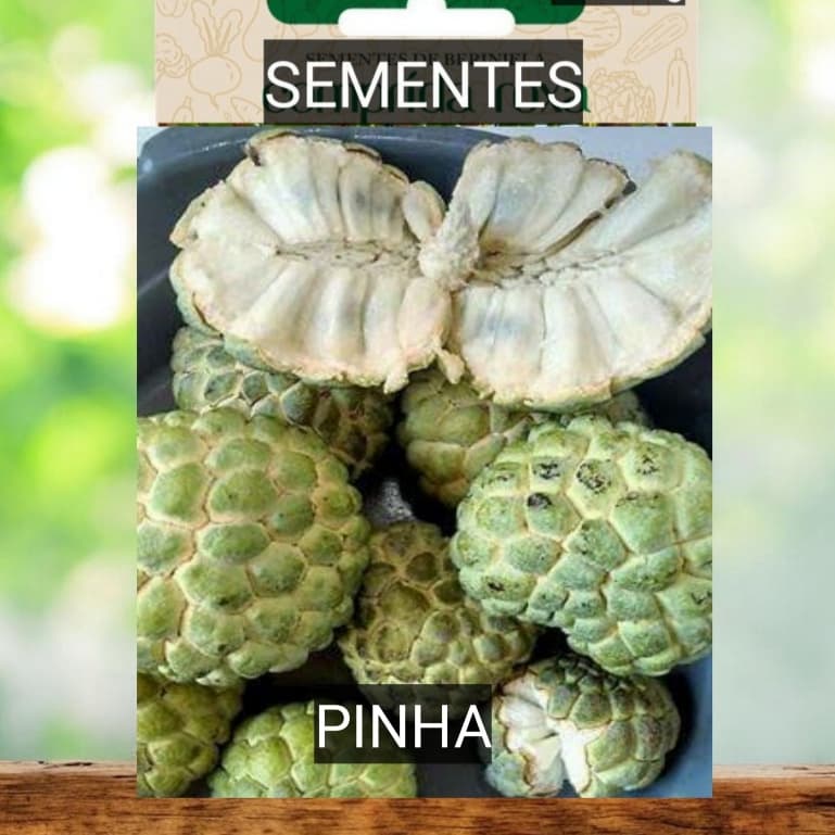 Sementes Fruta do CONDE PINHA  doce plante em VASO Jardim horta terra Oferta.