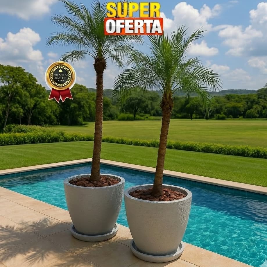 Vaso de polietileno para arvores jabuticabeira Palmeiras plantas flor frutíferas Bojo texturado GRANDE 52x42 com pratos