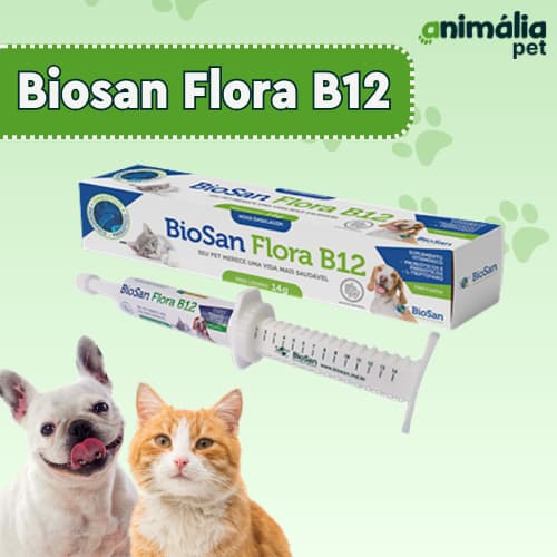 Probiótico Suplemento Biosan Flora B12 cães e gatos - Biosan