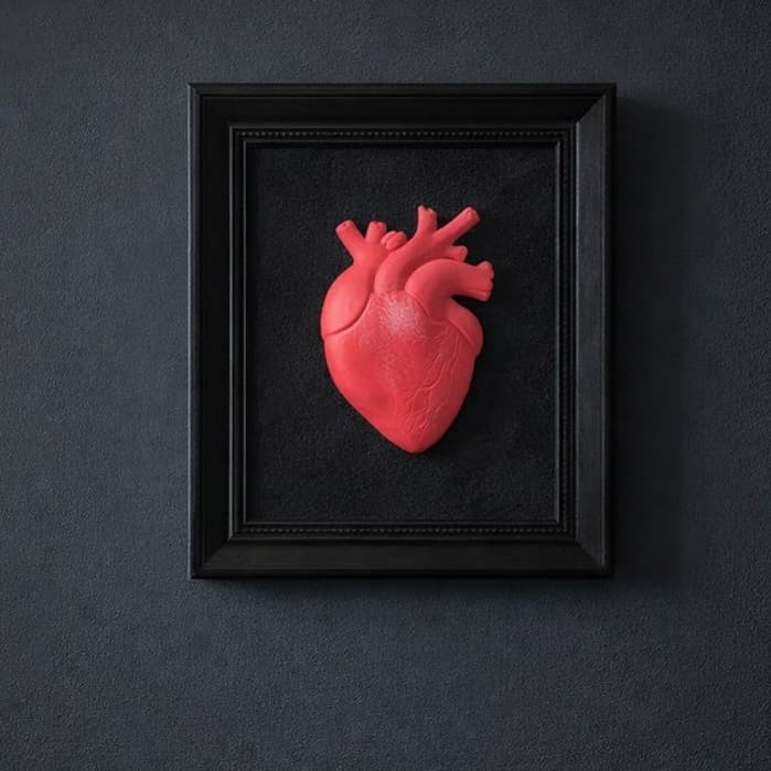Quadro Decorativo Coração Anatômico 3D