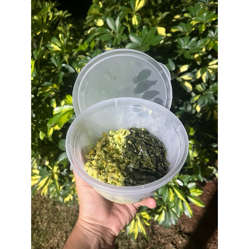 Potes Redondo Plástico com Tampa Transparente Multiuso para Alimentos Geladeira Cozinha