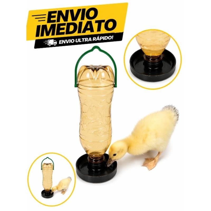 Bebedouro pássaro universal várias cores