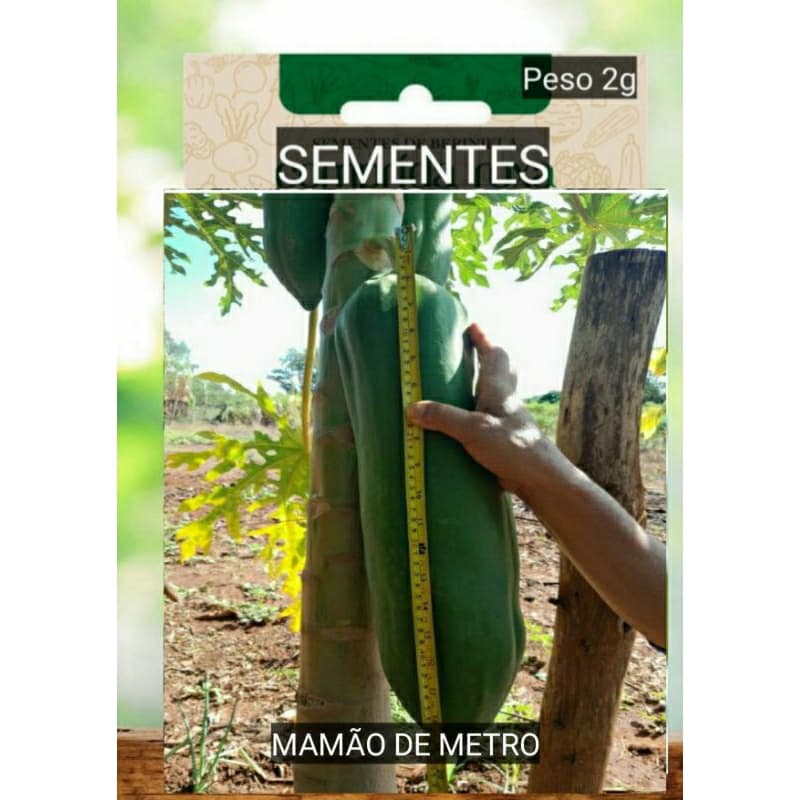 kit SEMENTES MAMAO Gigante polpa Vermelho até 9 kg plante vaso Jardim terra OFERTA