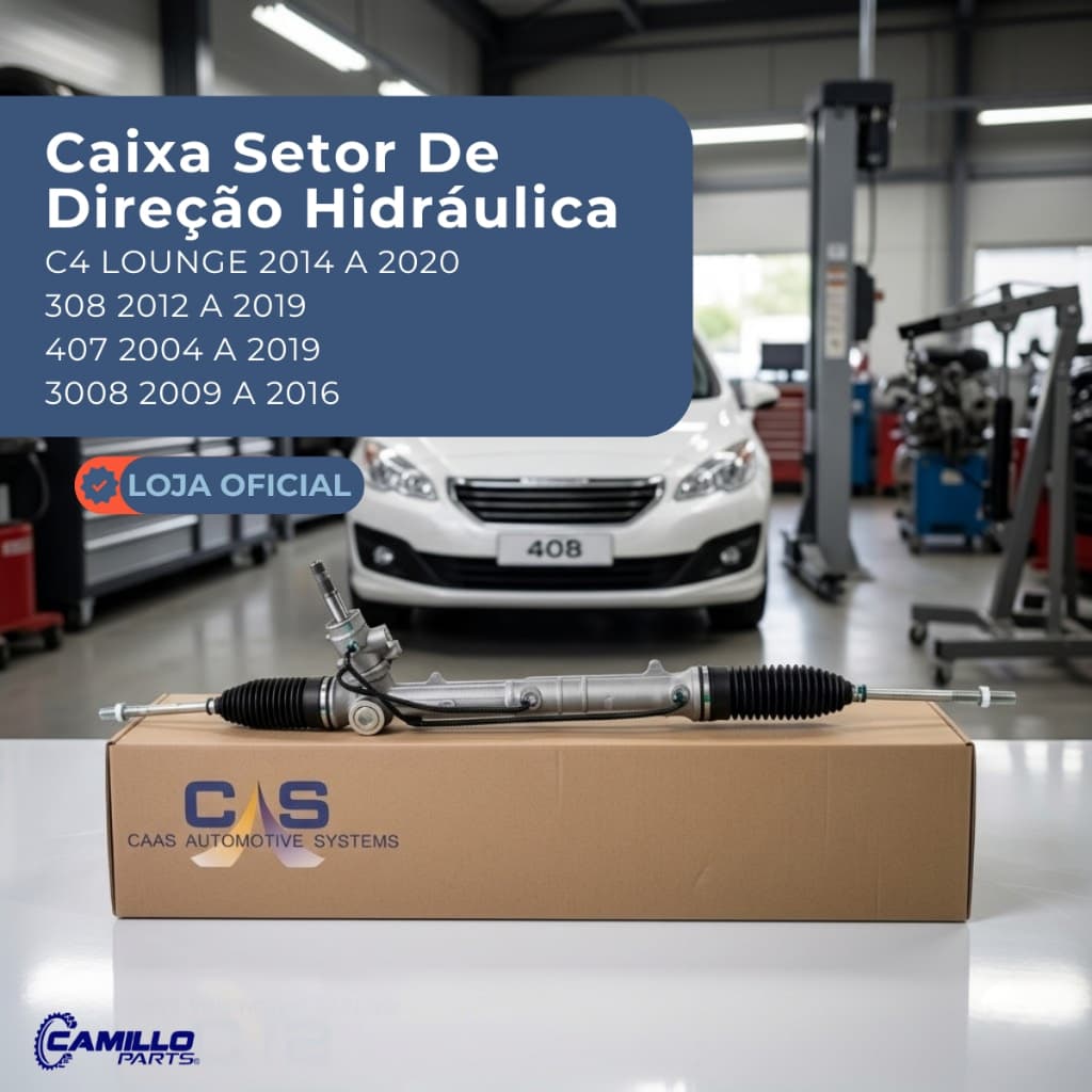 Caixa Direção Hidráulica Peugeot 308 408 3008 407 Citroen C4 Lounge Caas do Brasil