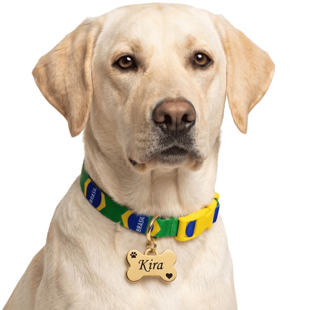 Coleira do Brasil para Cachorro e gato copa do mundo personalizado nome e telefone