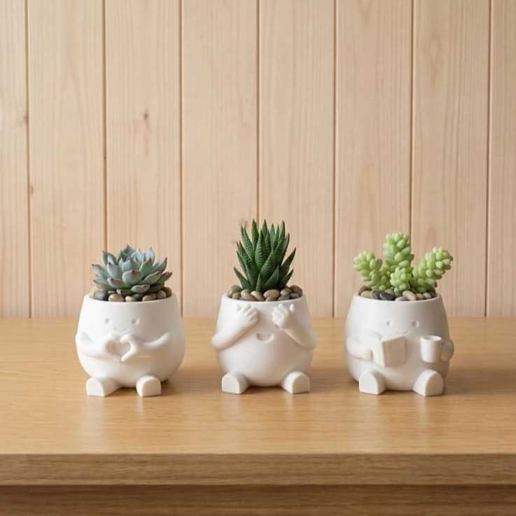 Kit 3 Vasos Vasinhos Decorativos Para Plantas Suculentas e Cactos