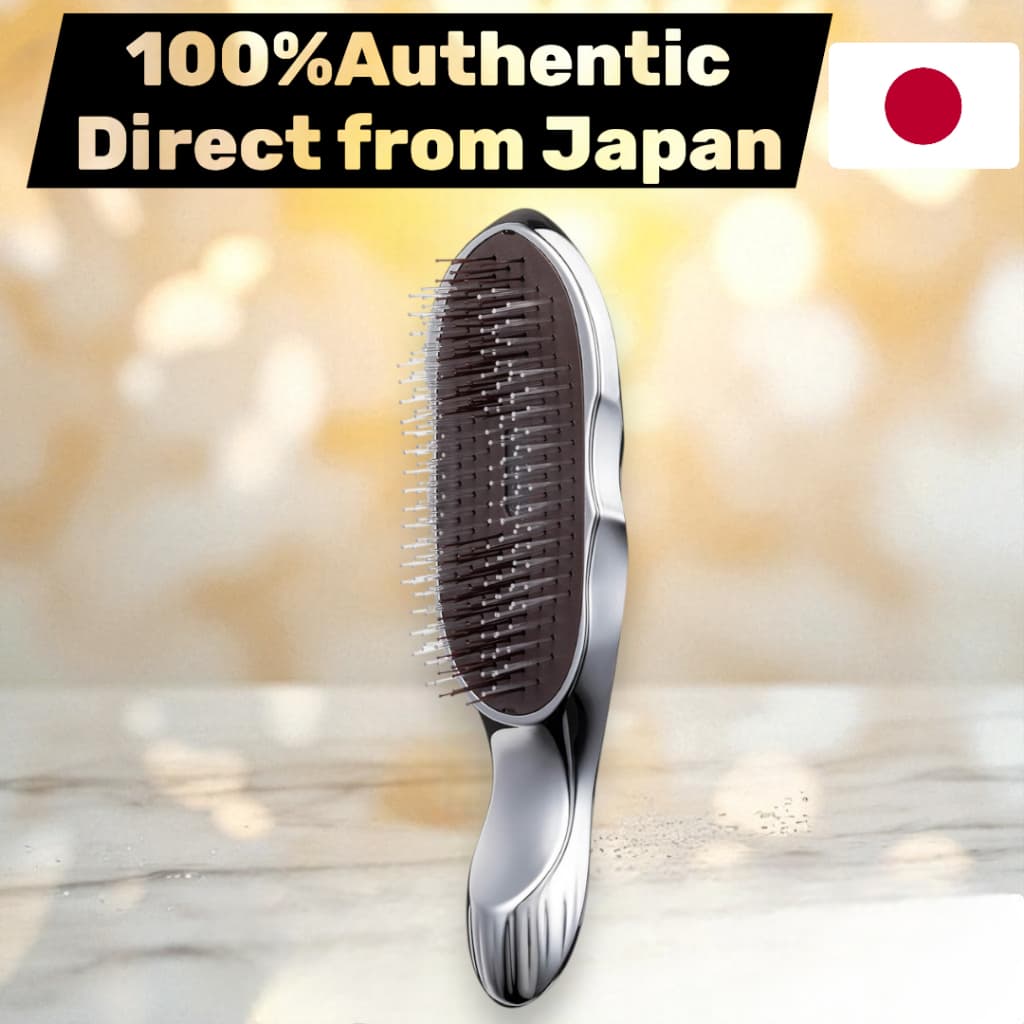 ReFa ION CARE BRUSH Silver
