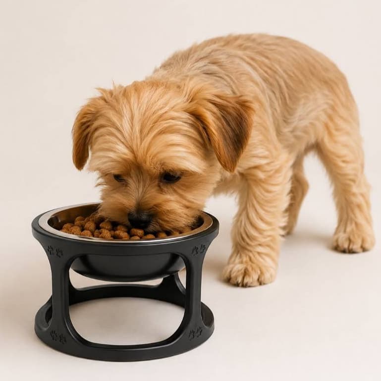 Comedouro Elevado para Cães e Gatos com Tigela em Inox