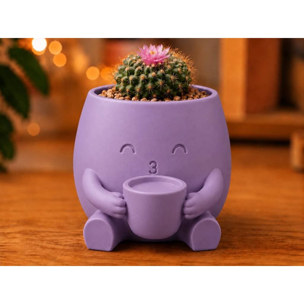 Vaso de planta Suculenta Decoração Cafézinho