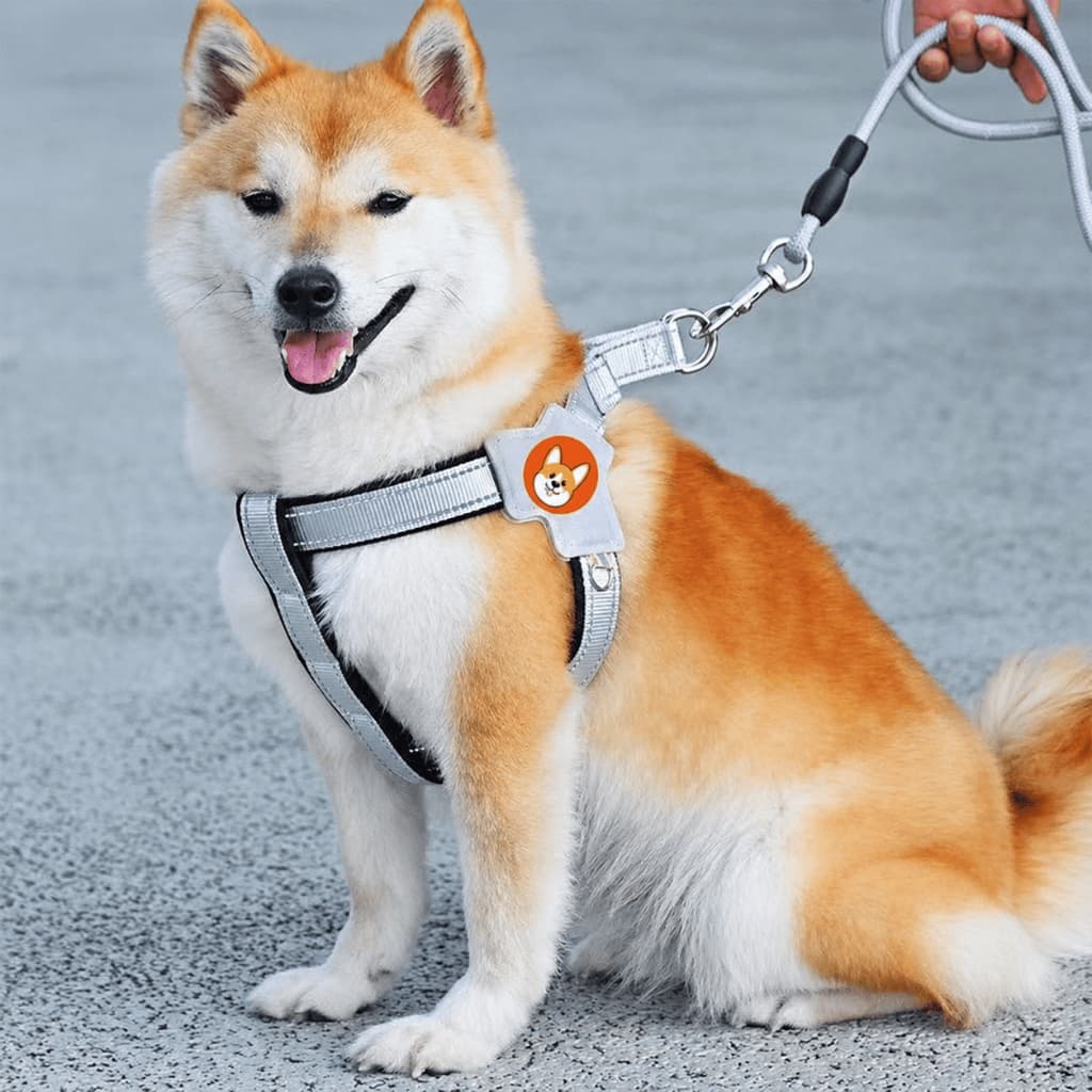 Peitoral Refletivo para Cães com Guia 1,5m – Ajustável, Seguro e Confortável