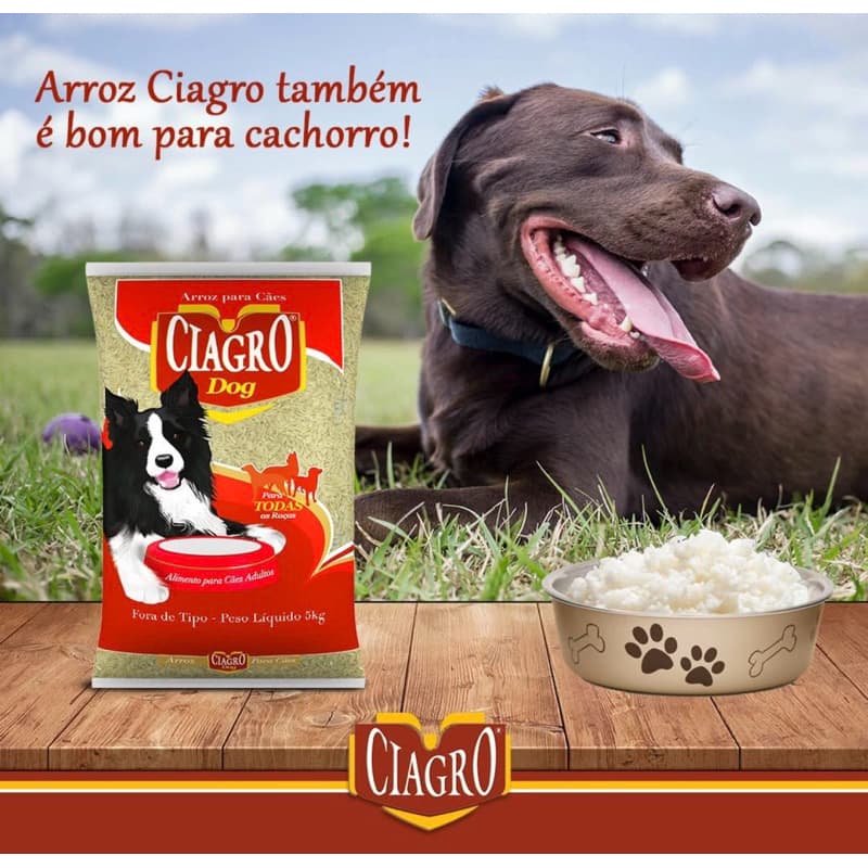 Arroz para Cachorro ciagro 5kg cães todas as idades