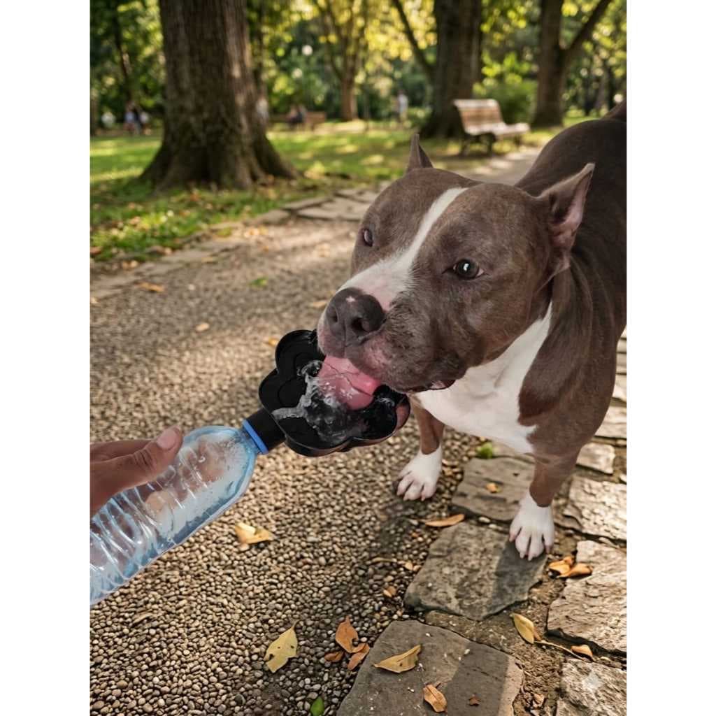 Bebedouro Portátil  para Pets – Transforme qualquer Garrafa em um Hidratante!