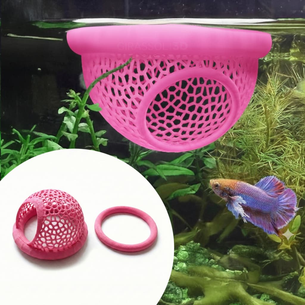 Kit Toca Esconderijo Betta e Acessórios Comida Peixes Pequenos Flutuante para Aquário