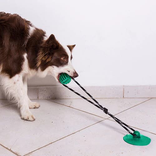 Dispenser de Petiscos Push Ball para Cachorros | Brinquedo Interativo com Ventosa - Petiko