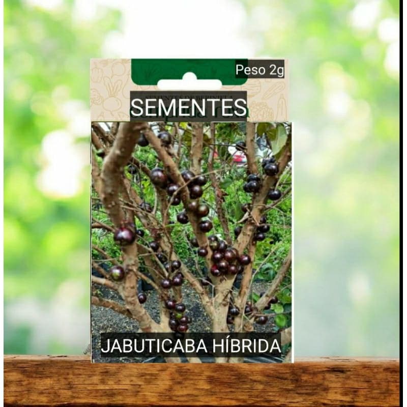 Kit SEMENTES JABOTICABA produz em vaso JARDIM  horta terra adubo OFERTA #2