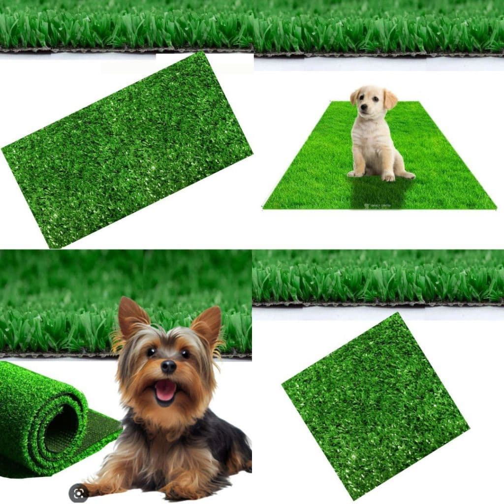 Maravilhoso Tapetes Higiênico Sanitário Grama Sintética Lavável Petgrass Promoção