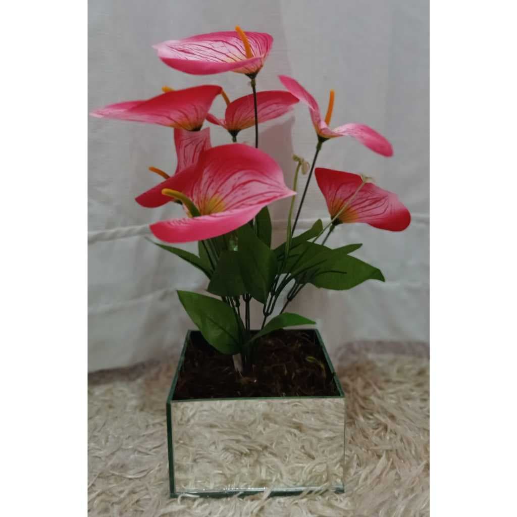 Reflexos de beleza e a delicadeza das flores. 15x15 de pura elegância