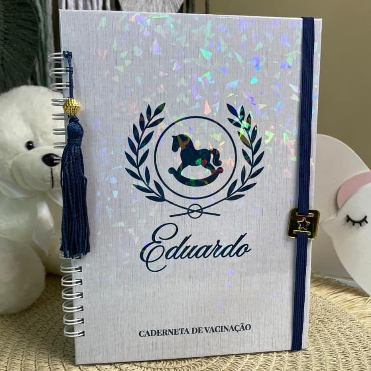 CADERNETA DE SAUDE VACINAÇAO PERSONALIZADA LUXO MENINO CAVALO BEBÊ
