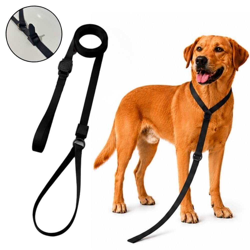 Guia Enforcador Unificada Adestrador Para Passeio e Controle de Cachorro Guia regulável treinamento para Cães