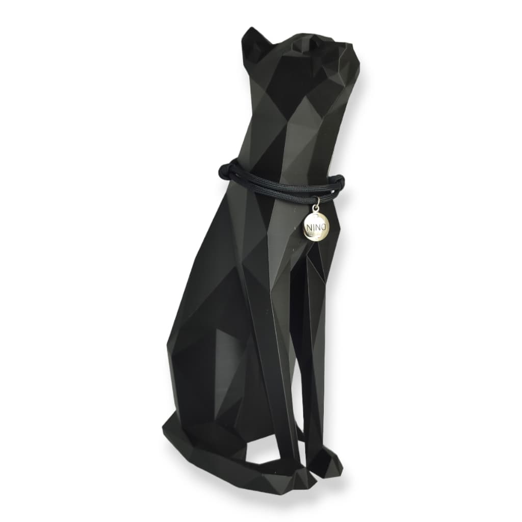 Coleira colar pescoço com plaquinha tag de identificação pet gato personalizada com gravação a laser