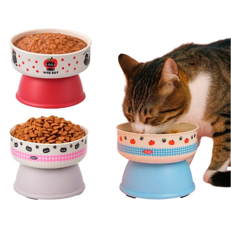 Comedouro Pote Tigela Bebedouro Pet Elevado Estampas Alto Cão Gato 350ml