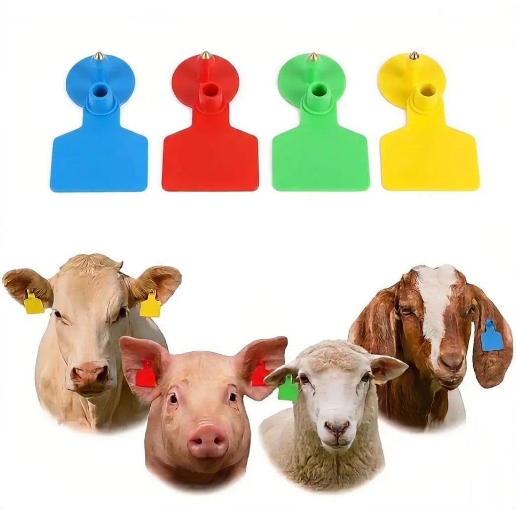 ⁠Brinco Identificador Bezerro Kit 50 Unid Com Personalização Laser
