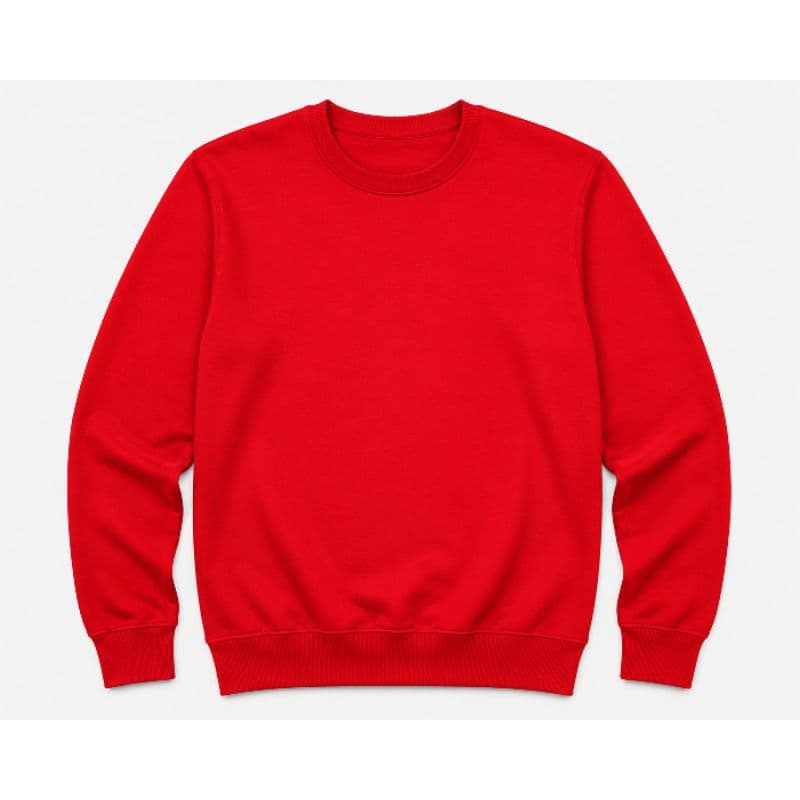Moletom Careca Infantil Masculino Flanelado Premium Gola Careca Roupa de Frio 2 ao 16