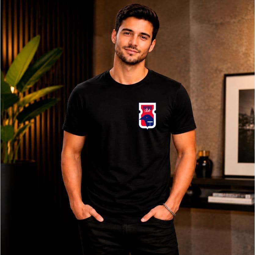 Camiseta Masculina Torcedor Estampada Time 100% Algodão Camisa Casual Parana Pronta Entrega