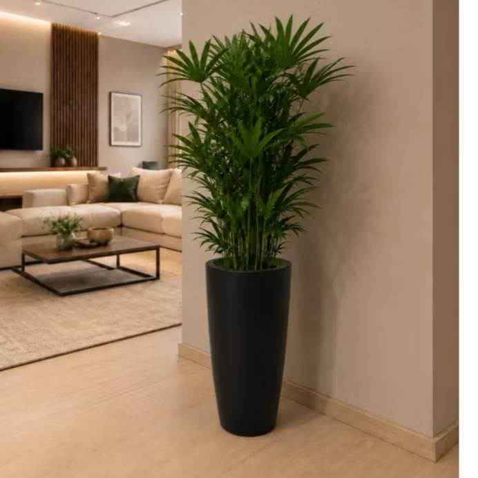 Vasos para Plantas Preto Coluna Luxo 67x35x24 Grande n•4 ( SEM PRATO )
