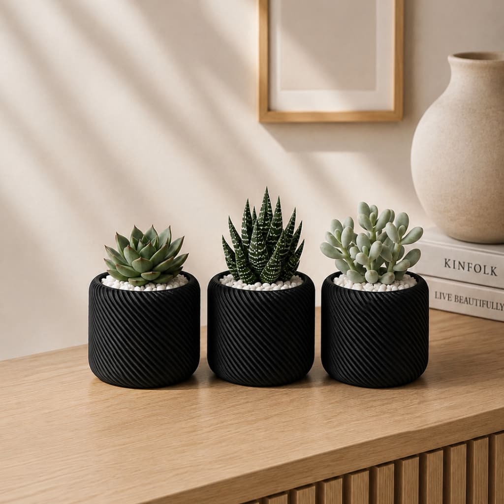 Vaso Planta Suculenta | Kit com até 3 vasos - vaso decorativo texturizado para suculentas e outras plantas