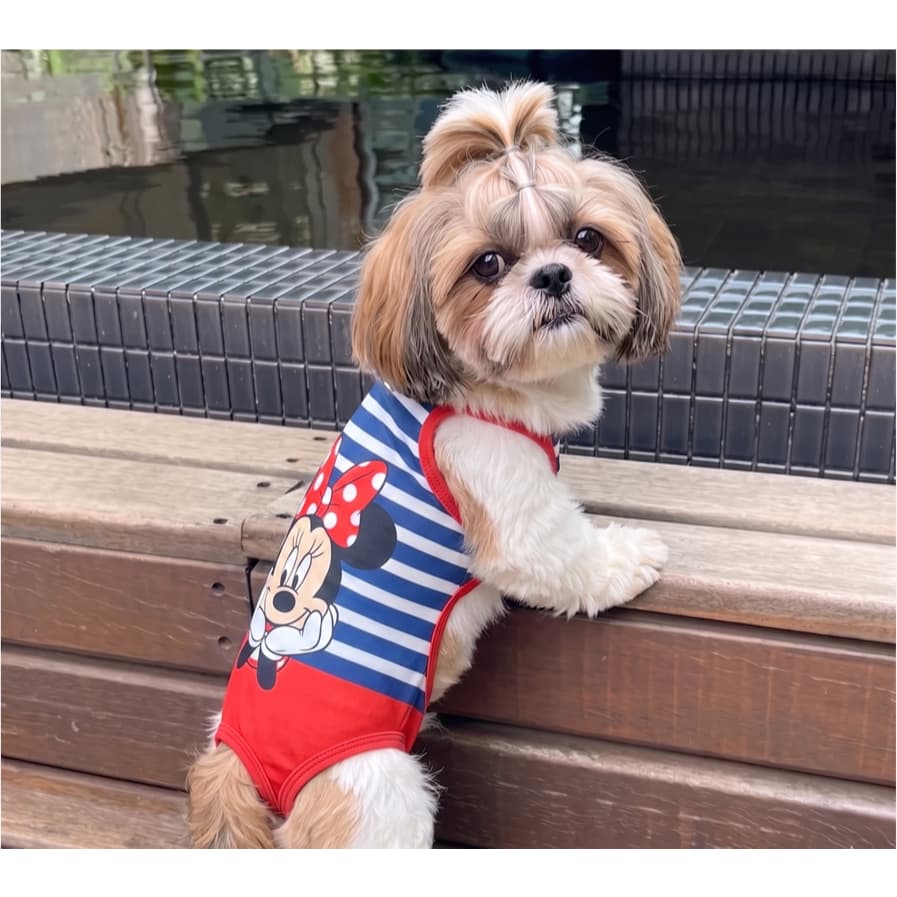 Roupa Pet Biquini Maio Minnie Praia Tecido femea cachorrinha fantasia